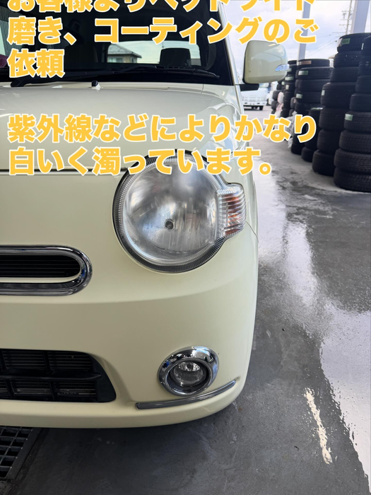 画像546